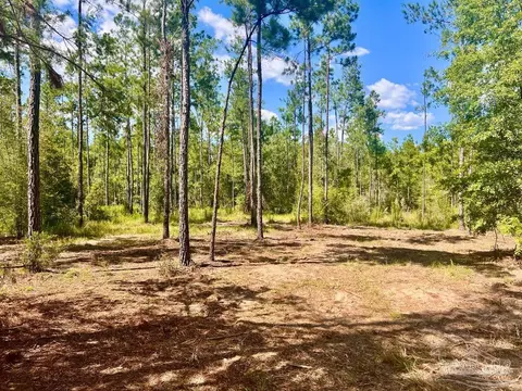 lot41 Buck Chase Ln, Pace, FL 32571 photo 15