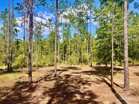 lot41 Buck Chase Ln, Pace, FL 32571 photo 16
