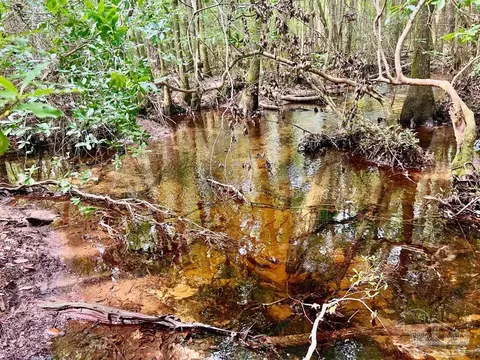 lot41 Buck Chase Ln, Pace, FL 32571 photo 9