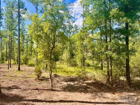 lot41 Buck Chase Ln, Pace, FL 32571 photo 19