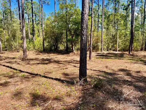 lot76 Naturewalk Dr, Pace, FL 32571 photo 10