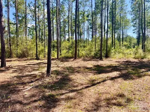 lot76 Naturewalk Dr, Pace, FL 32571 photo 8