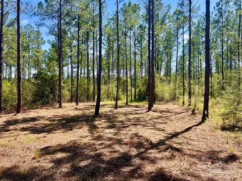 lot77 Naturewalk Dr, Pace, FL 32571 photo 4