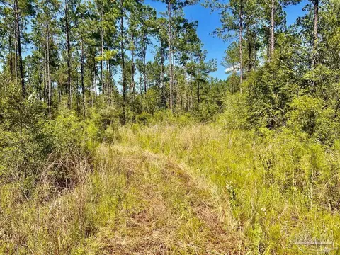 lot77 Naturewalk Dr, Pace, FL 32571 photo 13