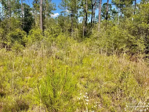 lot77 Naturewalk Dr, Pace, FL 32571 photo 15