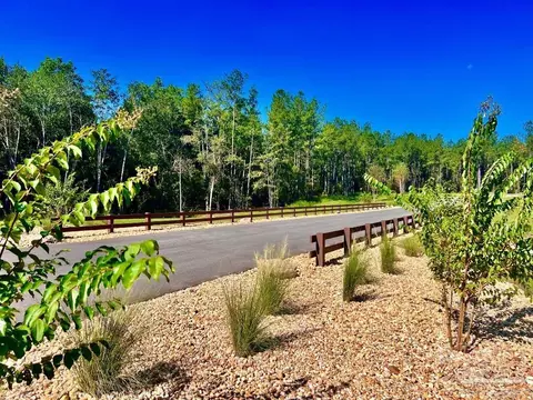 lot77 Naturewalk Dr, Pace, FL 32571 photo 18