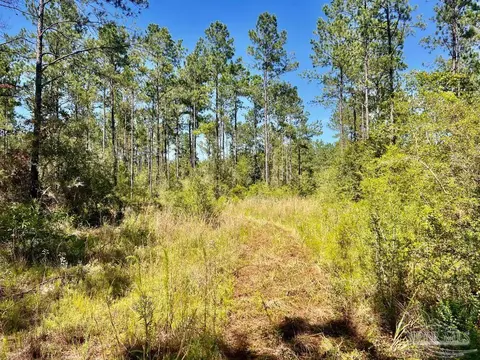 lot77 Naturewalk Dr, Pace, FL 32571 photo 14