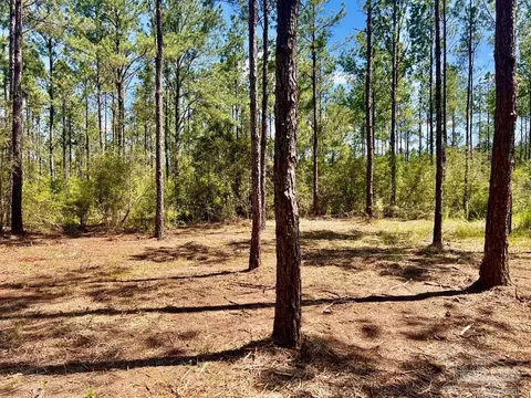 lot77 Naturewalk Dr, Pace, FL 32571 photo 8
