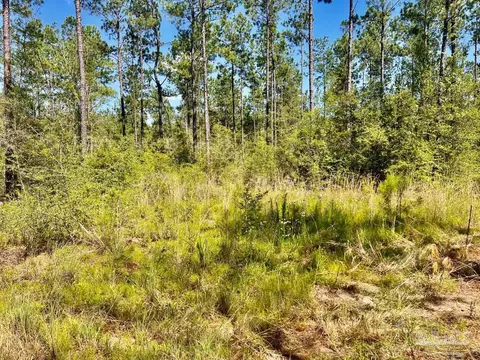lot77 Naturewalk Dr, Pace, FL 32571 photo 12