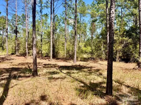 lot77 Naturewalk Dr, Pace, FL 32571 photo 10