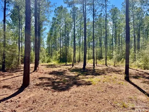 lot77 Naturewalk Dr, Pace, FL 32571 photo 5