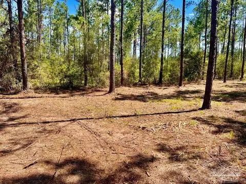 lot77 Naturewalk Dr, Pace, FL 32571 photo 11