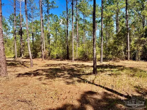 lot77 Naturewalk Dr, Pace, FL 32571 photo 9