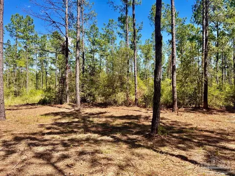 lot77 Naturewalk Dr, Pace, FL 32571 photo 6