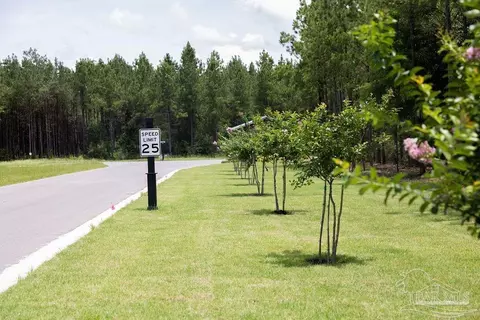 lot115 Edge Forest Way, Pace, FL 32571 photo 8