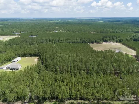 lot115 Edge Forest Way, Pace, FL 32571 photo 2