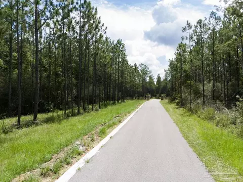 lot115 Edge Forest Way, Pace, FL 32571 photo 3