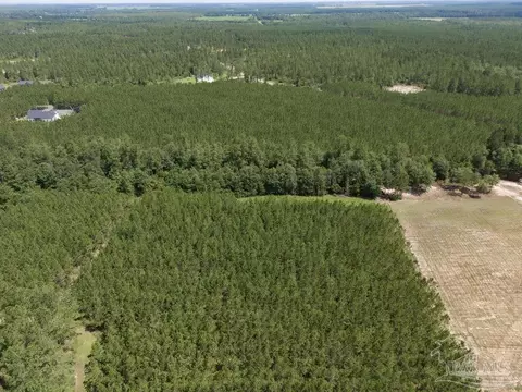lot115 Edge Forest Way, Pace, FL 32571