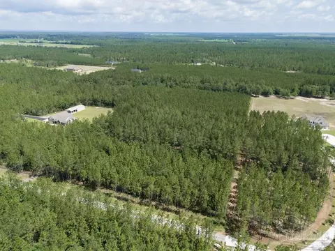 lot115 Edge Forest Way, Pace, FL 32571 photo 4