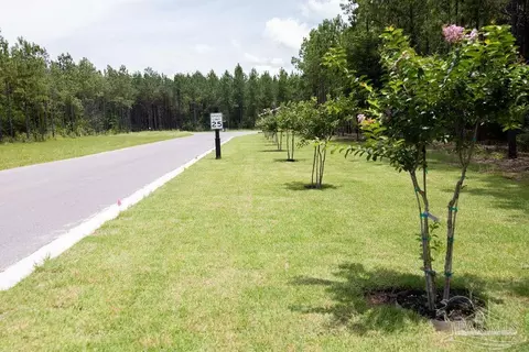 lot115 Edge Forest Way, Pace, FL 32571 photo 14
