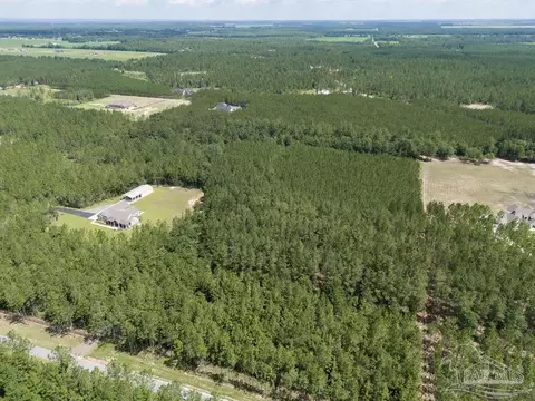 lot115 Edge Forest Way, Pace, FL 32571 photo 5
