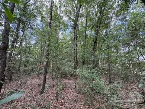 00 Eagle Dr, Milton, FL 32570 photo 3