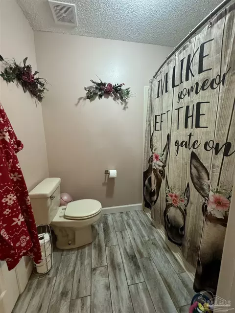 Bath - 3790 Nowling Rd, Jay, FL 32565 photo 2 of 3
