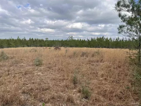 8314 Teton Crest Dr, Pace, FL 32571 photo 3