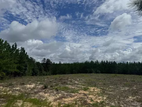8314 Teton Crest Dr, Pace, FL 32571 photo 11