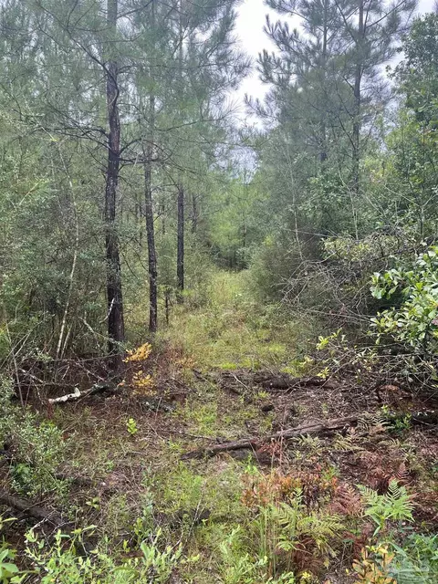 8314 Teton Crest Dr, Pace, FL 32571 photo 6