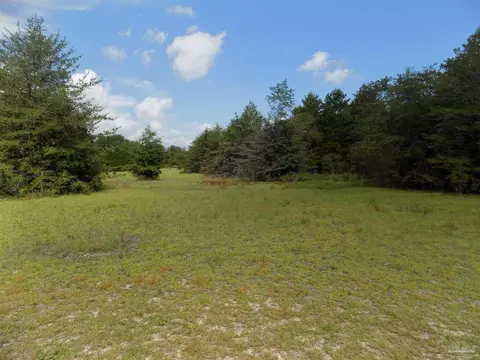 000 Douglas Dr, Milton, FL 32583 photo 12