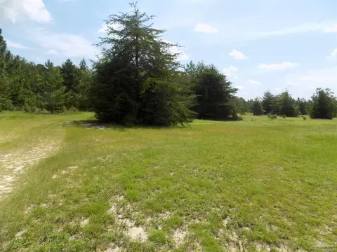 000 Douglas Dr, Milton, FL 32583 photo 7