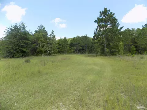 000 Douglas Dr, Milton, FL 32583 photo 11
