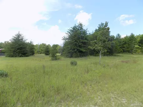000 Douglas Dr, Milton, FL 32583 photo 10