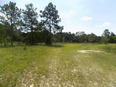 000 Douglas Dr, Milton, FL 32583 photo 9
