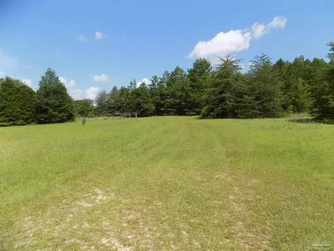 000 Douglas Dr, Milton, FL 32583 photo 4