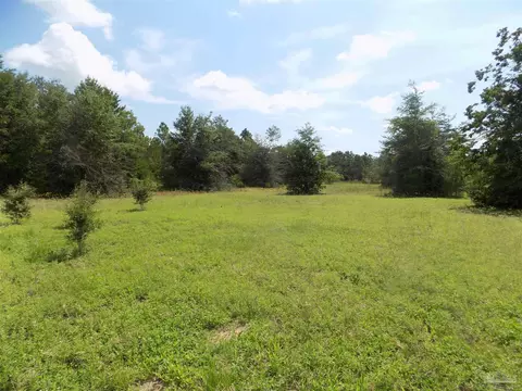 000 Douglas Dr, Milton, FL 32583 photo 14