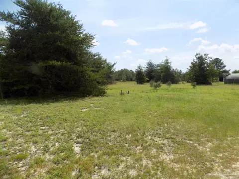 000 Douglas Dr, Milton, FL 32583 photo 6