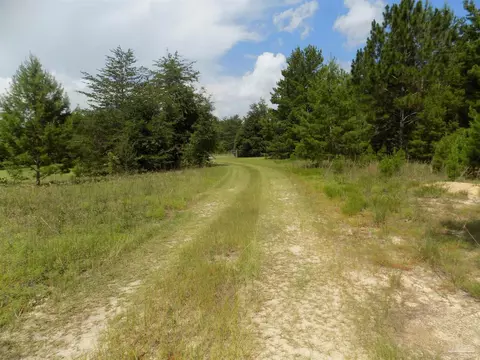 000 Douglas Dr, Milton, FL 32583 photo 8
