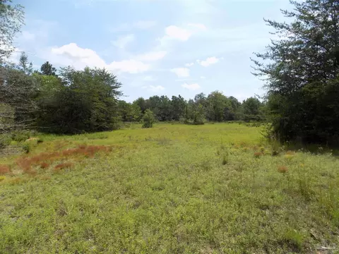 000 Douglas Dr, Milton, FL 32583 photo 13