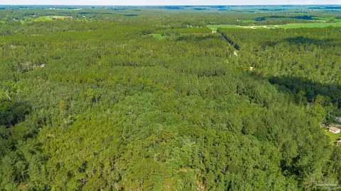 7085 Springhill Rd, Milton, FL 32570 photo 11