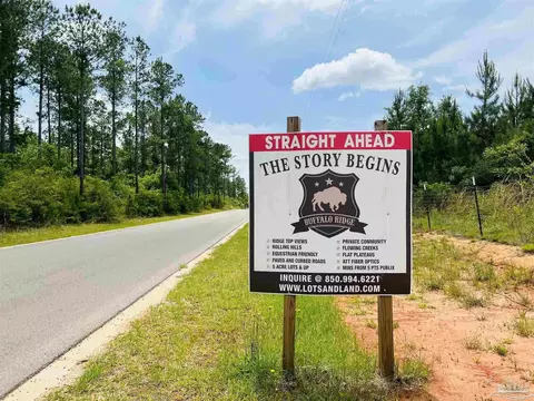 Br Lot 36 Buffalo Ridge Rd, Pace, FL 32571 photo 2