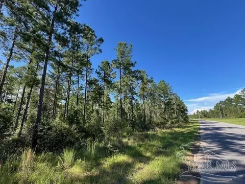 Br Lot 36 Buffalo Ridge Rd, Pace, FL 32571 photo 7