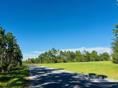 Br Lot 36 Buffalo Ridge Rd, Pace, FL 32571 photo 18