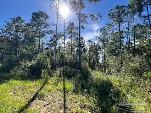 Br Lot 36 Buffalo Ridge Rd, Pace, FL 32571 photo 14