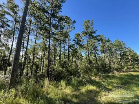 Br Lot 36 Buffalo Ridge Rd, Pace, FL 32571 photo 6