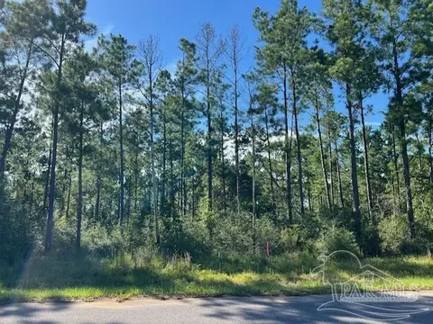 Br Lot 36 Buffalo Ridge Rd, Pace, FL 32571 photo 12