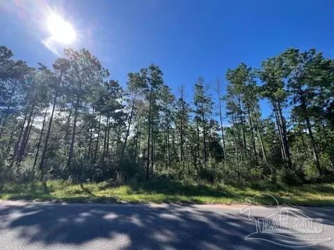 Br Lot 36 Buffalo Ridge Rd, Pace, FL 32571 photo 8