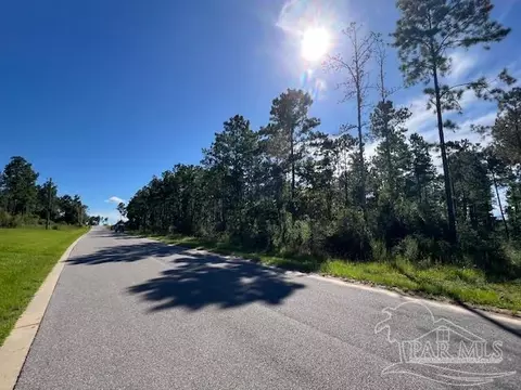 Br Lot 36 Buffalo Ridge Rd, Pace, FL 32571 photo 16