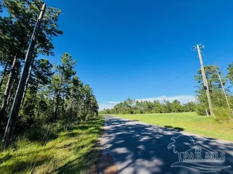 Br Lot 36 Buffalo Ridge Rd, Pace, FL 32571 photo 19